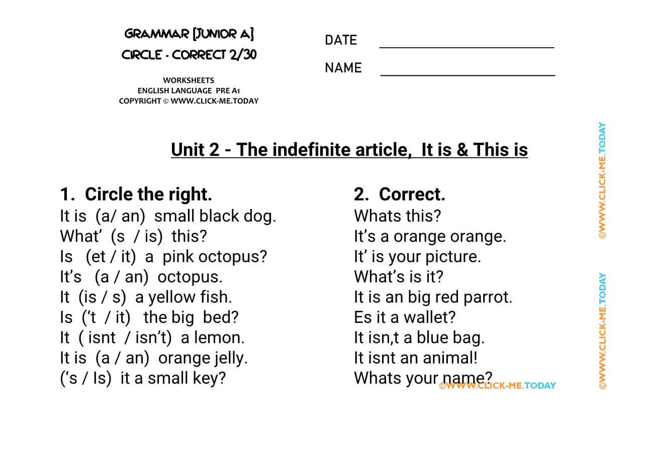 Grammar Exercises Circle Correct Indefinite Article U2
