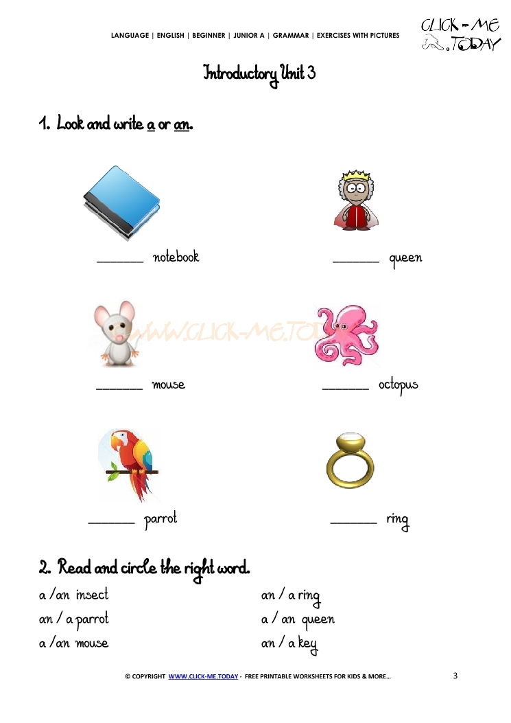 Grammar Exercises With Pictures Indefinite Article 3