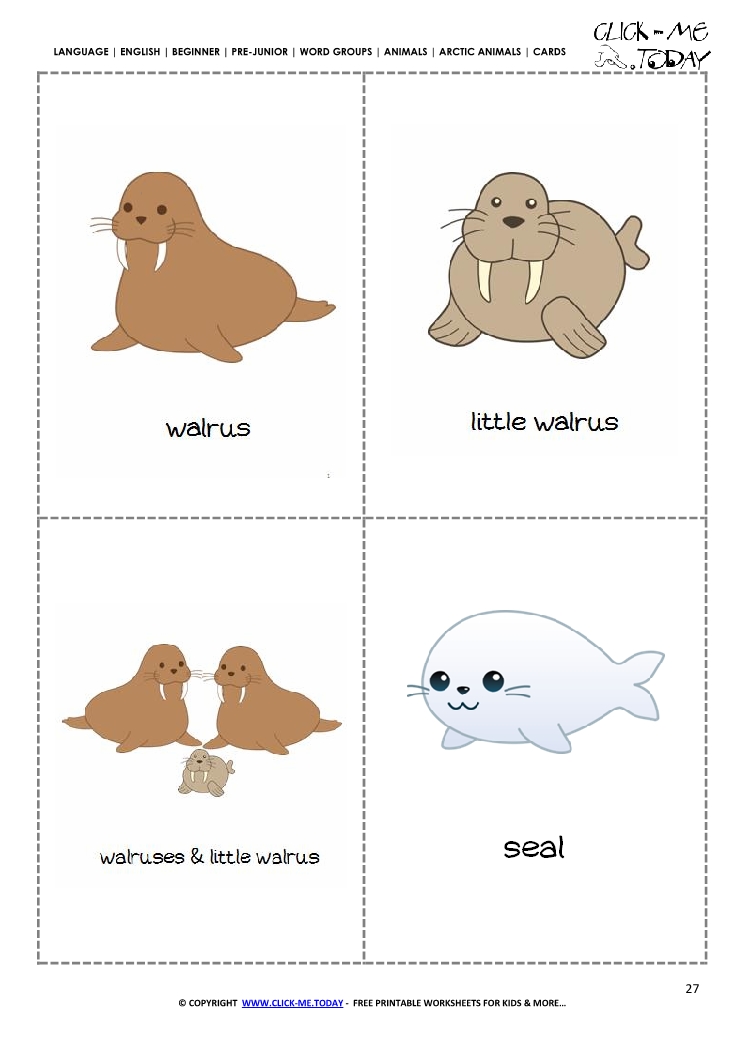 Flashcards: Arctic Animals (preschool/primary)