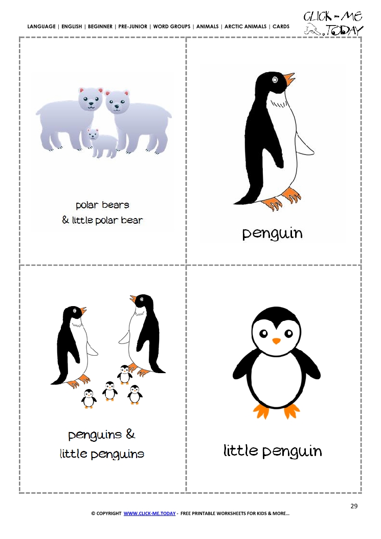 Free Printable Arctic Animals Flashcards Polar Bear, Penguin