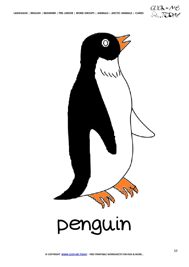 Printable Arctic Animal Penguin wall card - Penguin flashcard