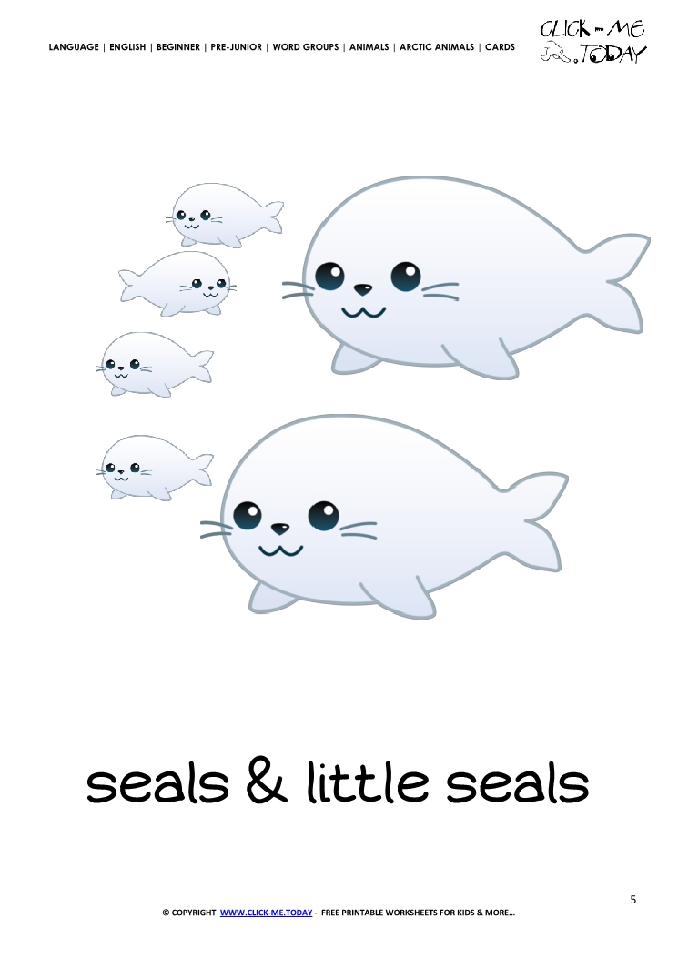 Printable Arctic Animal Seals wall card - Seals flashcard