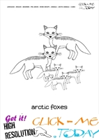 Printable Arctic Animal Arctic Foxes wall card - Arctic Foxes flashcard