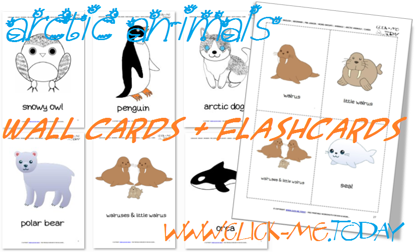 Free Printable Arctic Animals Flashcards - Arctic Animals cards