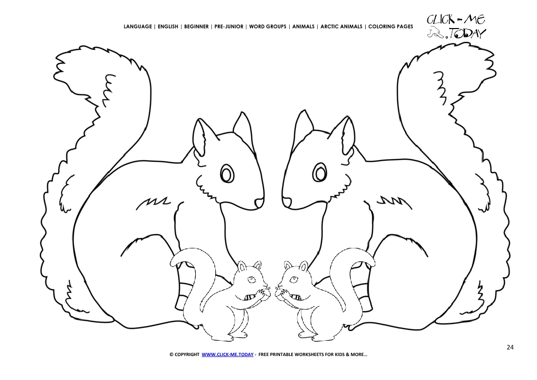 Coloring page Arctic Ground Squirrels - Color picture of Squirrels