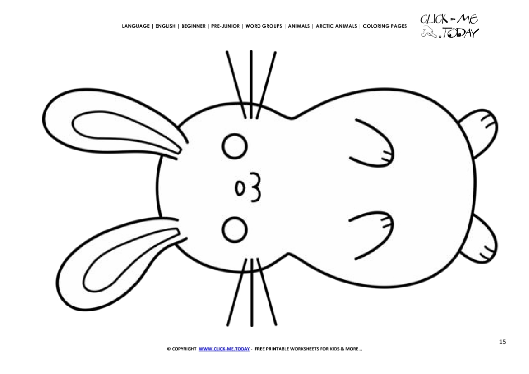 Coloring page Arctic Hare - Color picture of Hare
