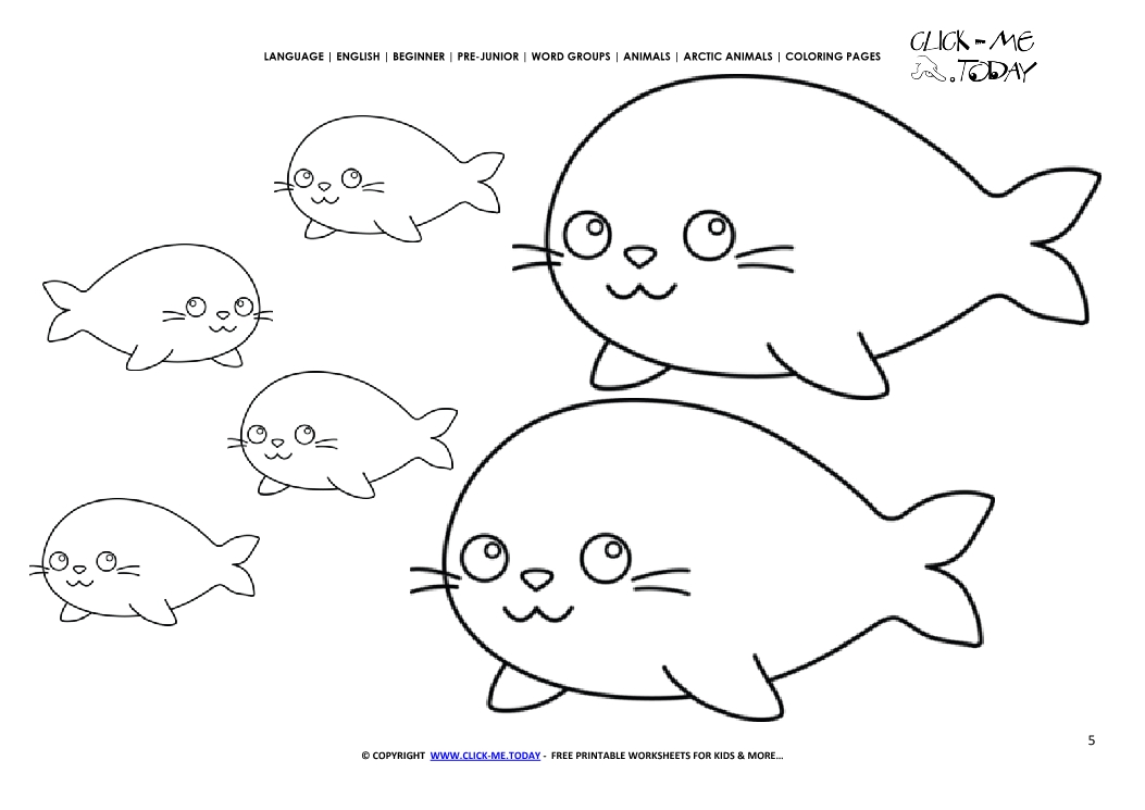 Arctic Seal Coloring Pages