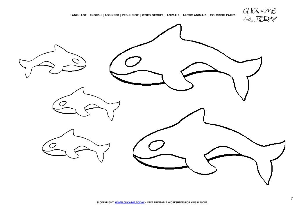Coloring page Orcas - Color picture of Orcas