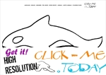 Coloring page Orca - Color picture of Orca