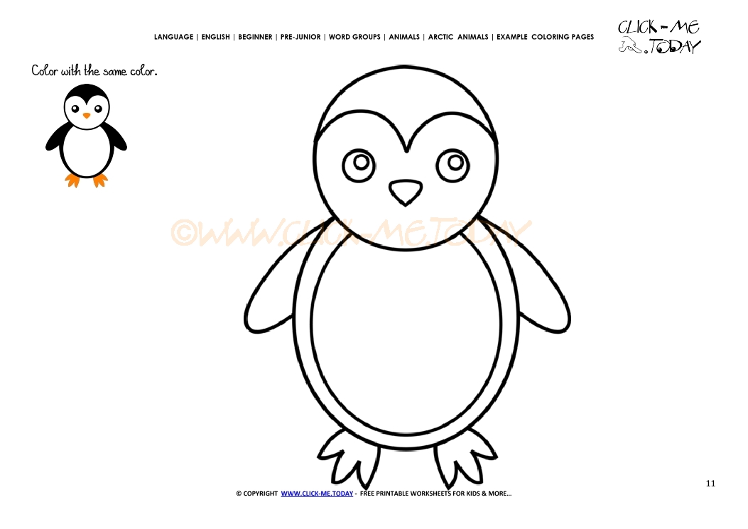 Example coloring page Little Penguin - Color picture of Penguin