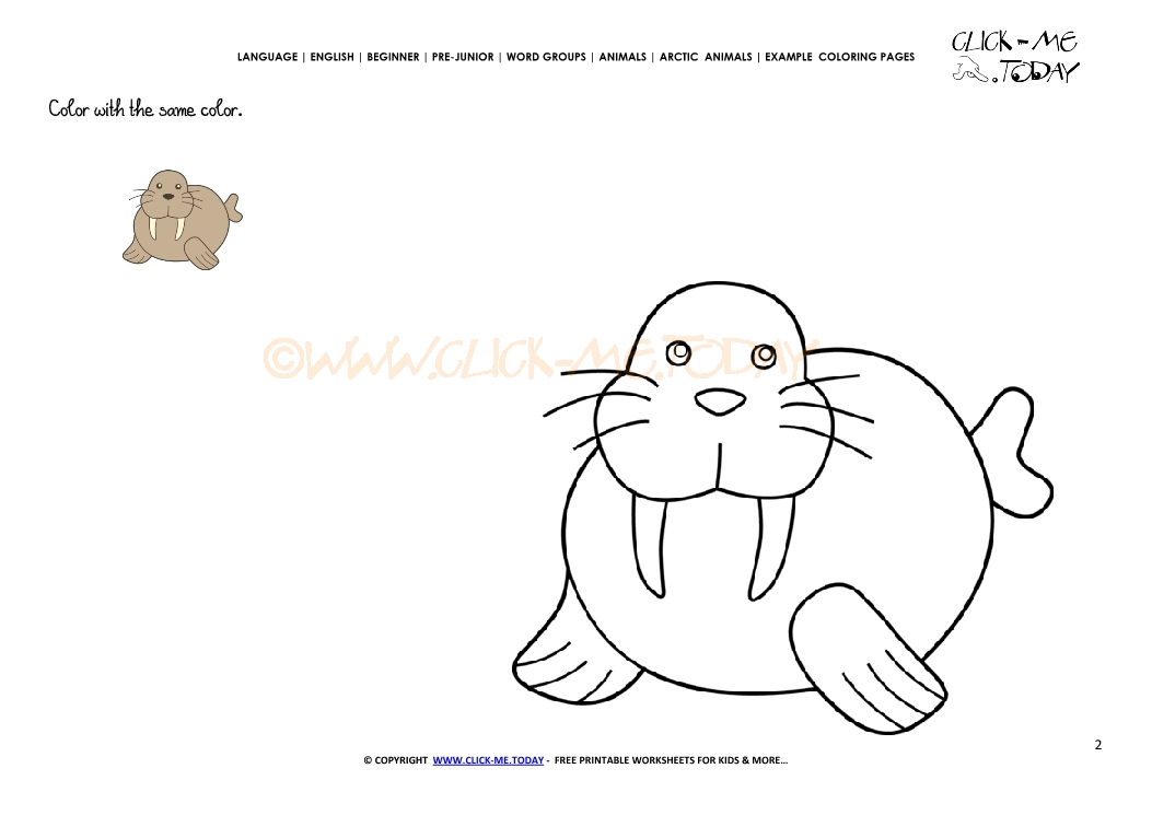 Example coloring page Little Walrus - Color picture of Walrus