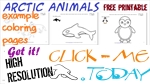 Free printable Arctic Animals Example Coloring Pages