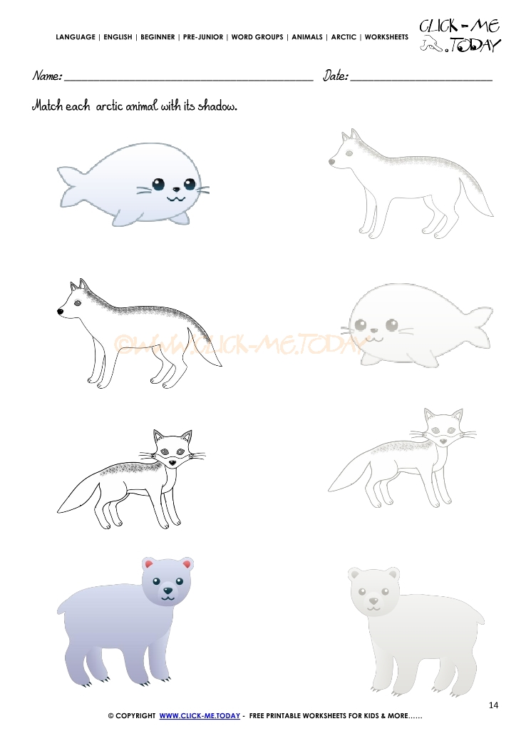 Arctic Animals Worksheet - Activity sheet Match 8