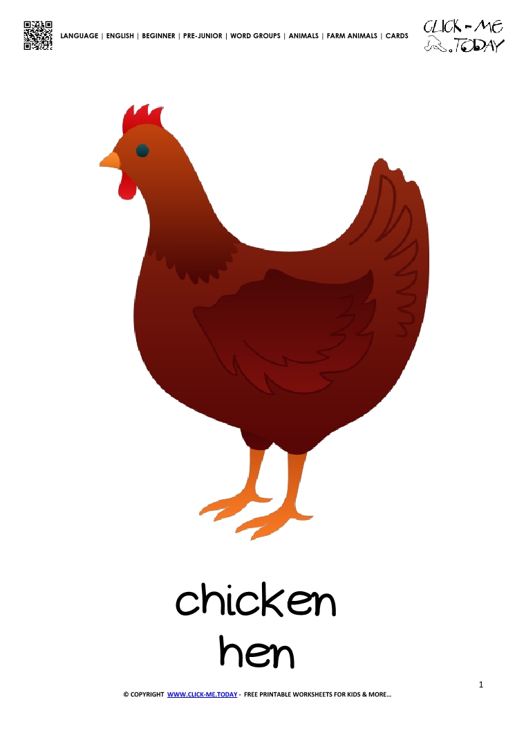 Farm animal flashcard Hen - Printable card of Hen