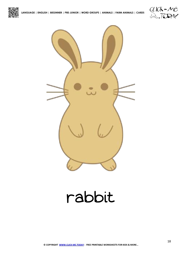 Farm animal flashcard Rabbit Card of Rabbit