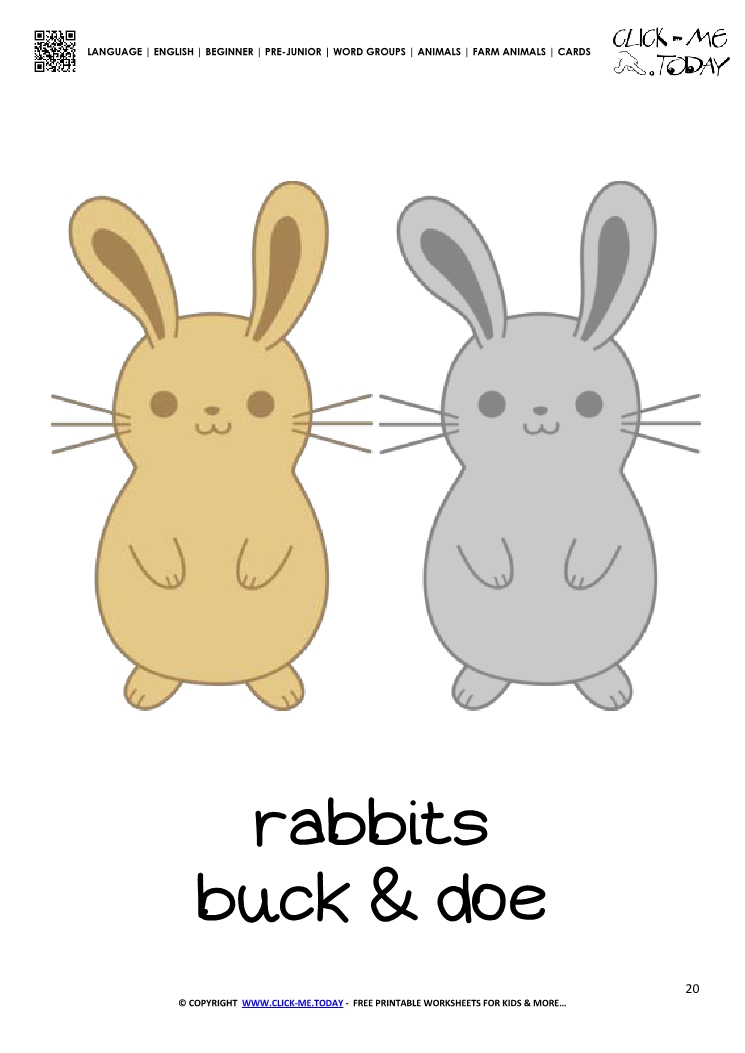 Farm animal flashcard Rabbits Card of Rabbits