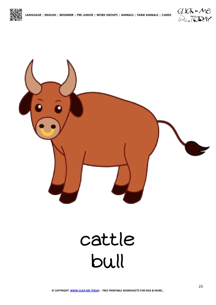 Farm animal flashcard Bull Card of Bull