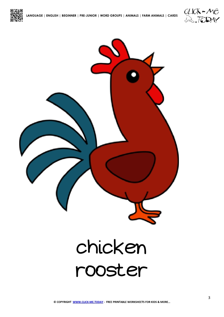 Farm animal flashcard Rooster - Printable card of little Rooster