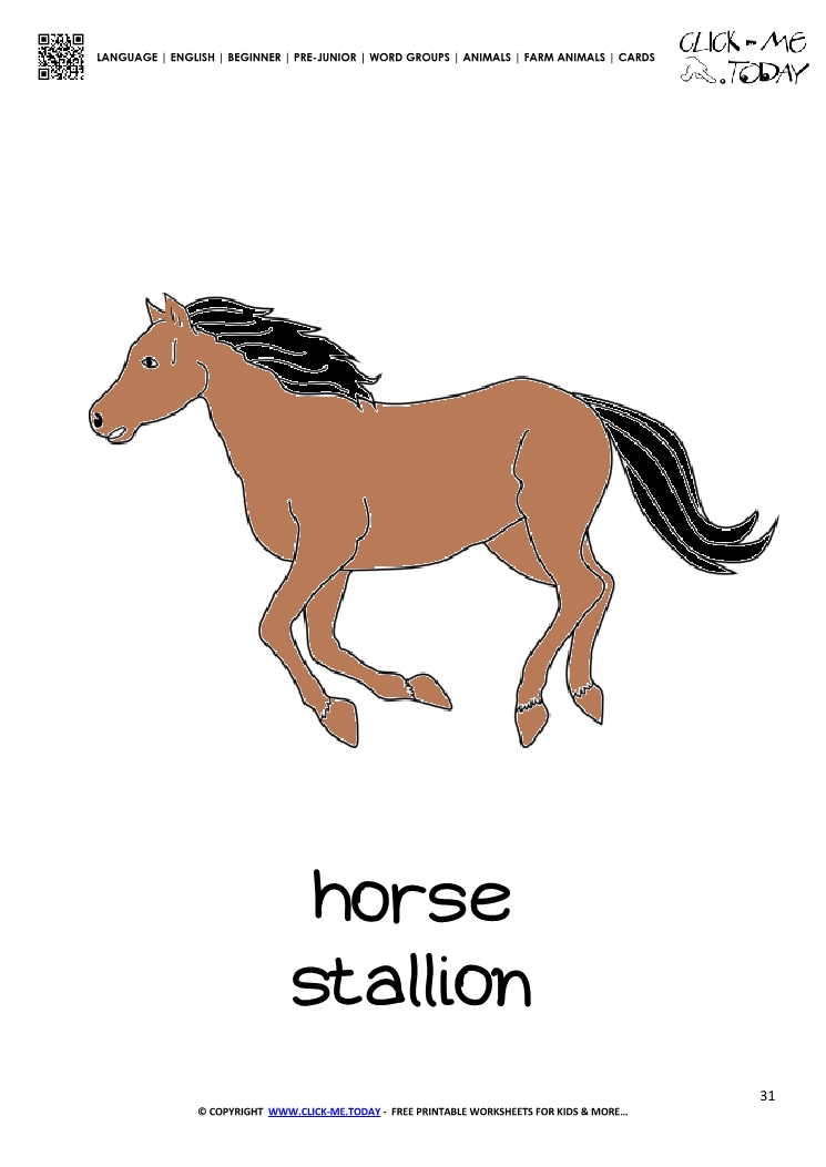 Farm animal flashcard Horse Stallion Card of Horse