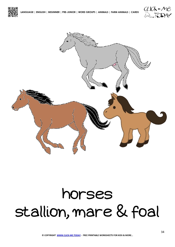Farm animal flashcard Horses Card of Horse