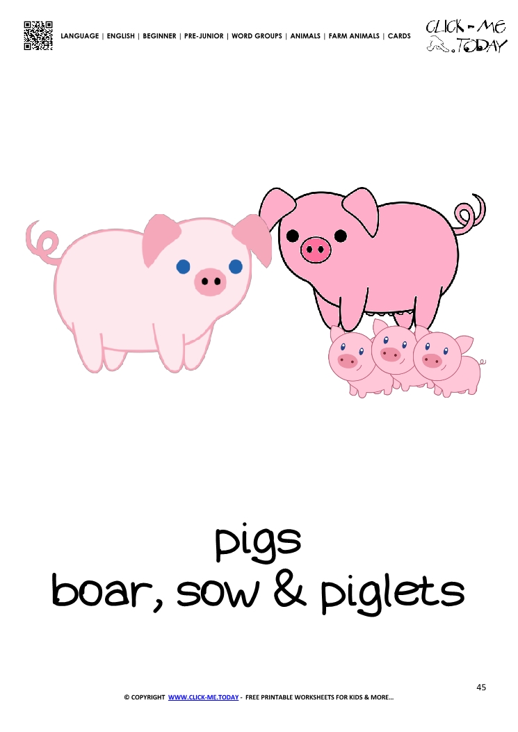 Farm animal flashcard Pigs Card of Pigs