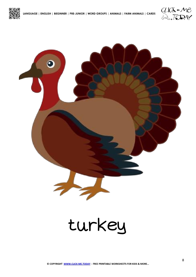 Farm animal flashcard Turkey - Printable card of Turkey