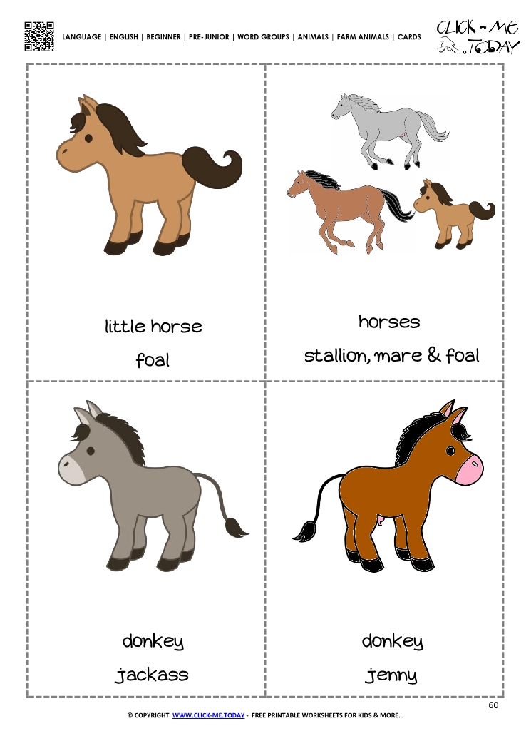 Farm animals Classroom cards 9 - Horses & Donkeys
