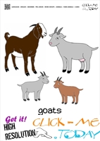 Farm animal flashcards Goat family kids Card of Goats