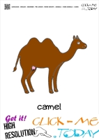 Farm animal flashcards Cow Camel Card of Camel