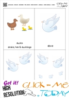 Farm animals cards 4 - Ducks & Doves