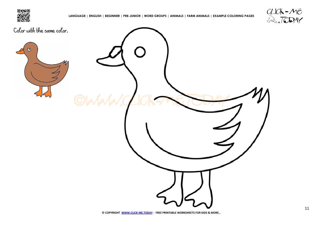 Example coloring page Duck Drake- Color picture of Duck
