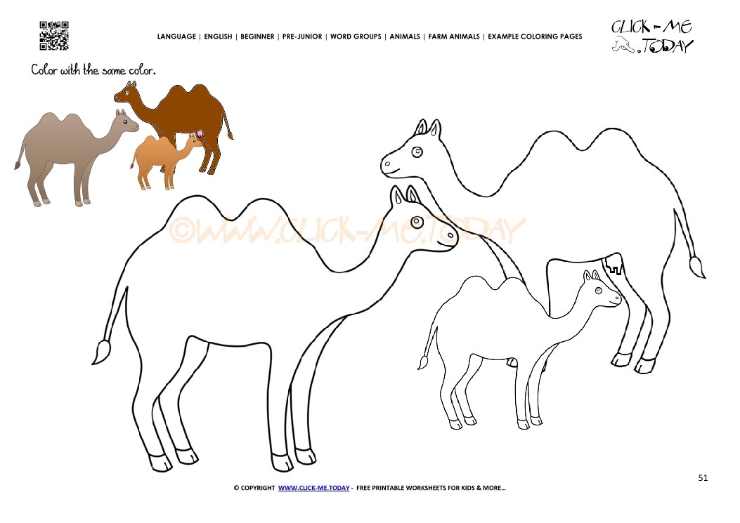 Example coloring page Camels - Color picture of Camels