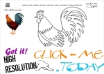 Example Coloring page Rooster - Color picture of Rooster 