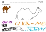 Example Coloring page Cow Camel - Color picture of Camel
