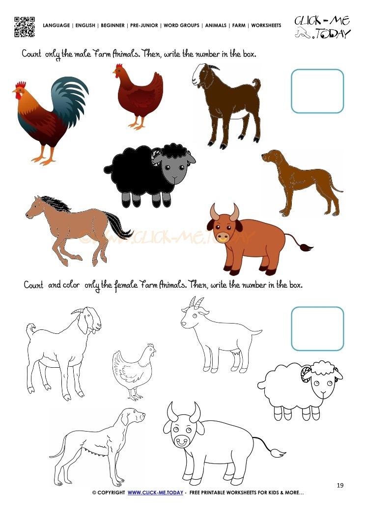 Farm Animals Worksheet  - Activity Sheet 19