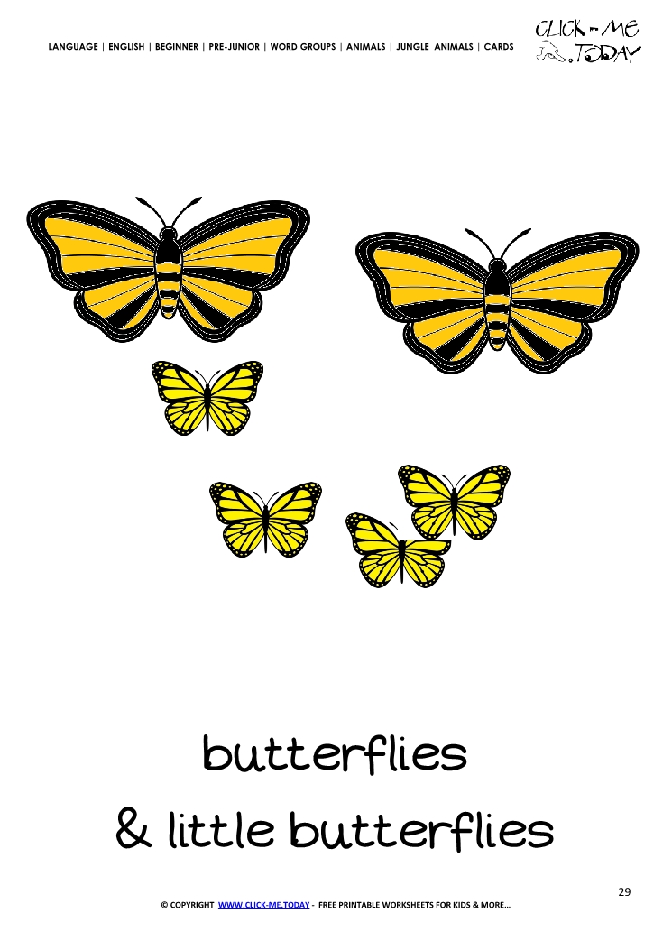 Jungle animal flashcard Butterflies - Printable card of Butterflies