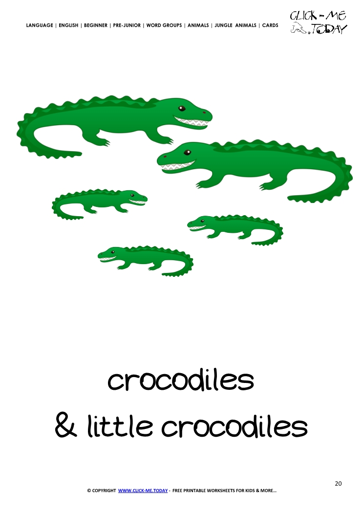 Jungle animal flashcard Crocodiles - Printable card of Crocodiles