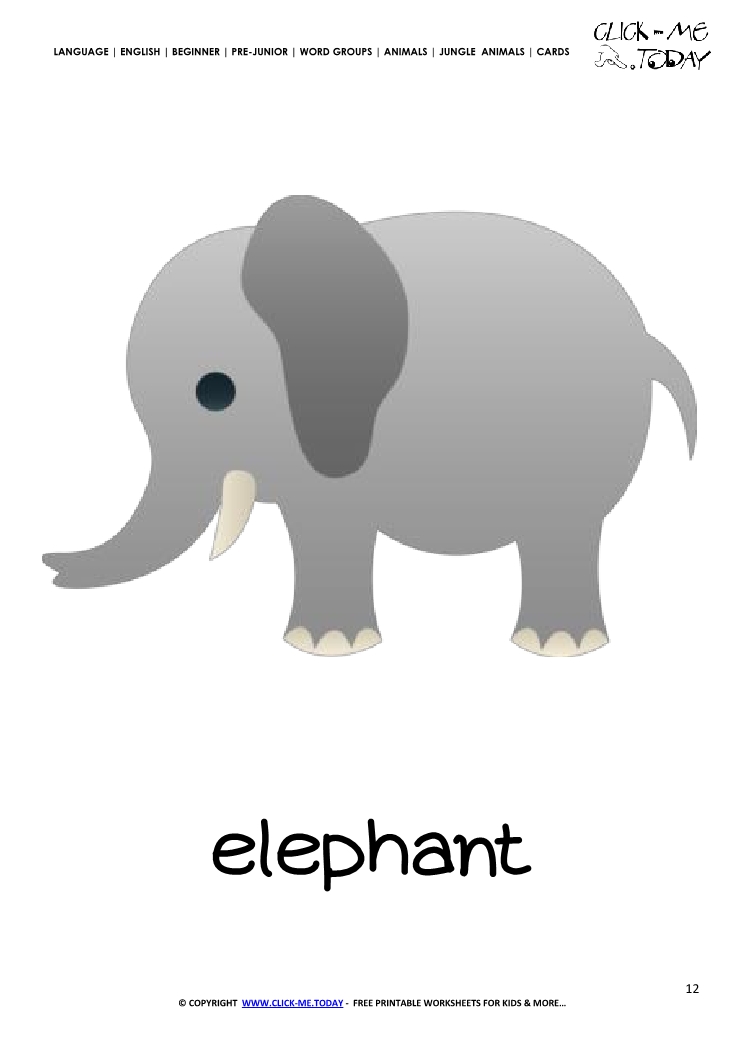 card elephant flashcard 12