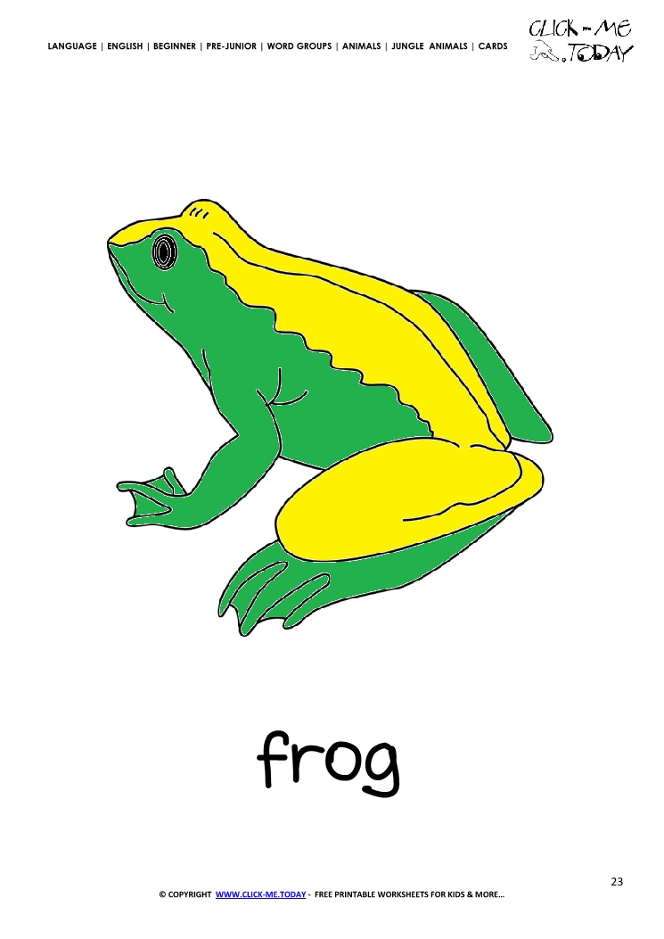 Jungle animal flashcard Frog - Printable card of Frog