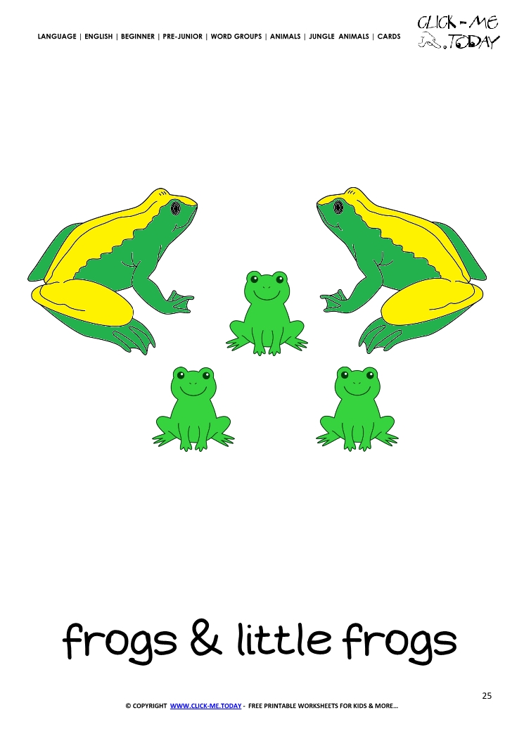 Jungle animal flashcard Frogs - Printable card of Frogs