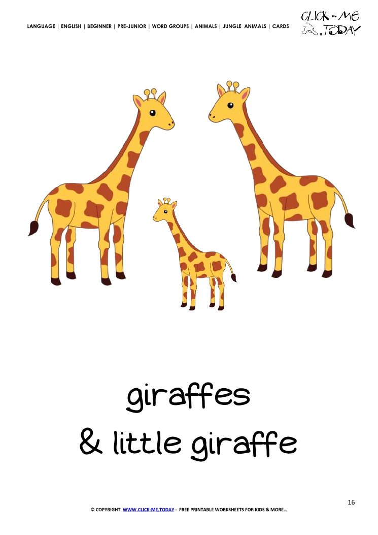 Jungle animal flashcard Giraffes - Printable card of Giraffes