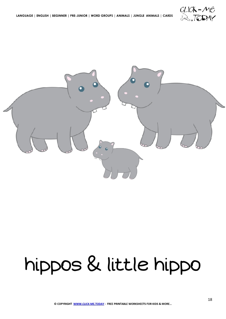 Jungle animal flashcard Hippos - Printable card of Hippos