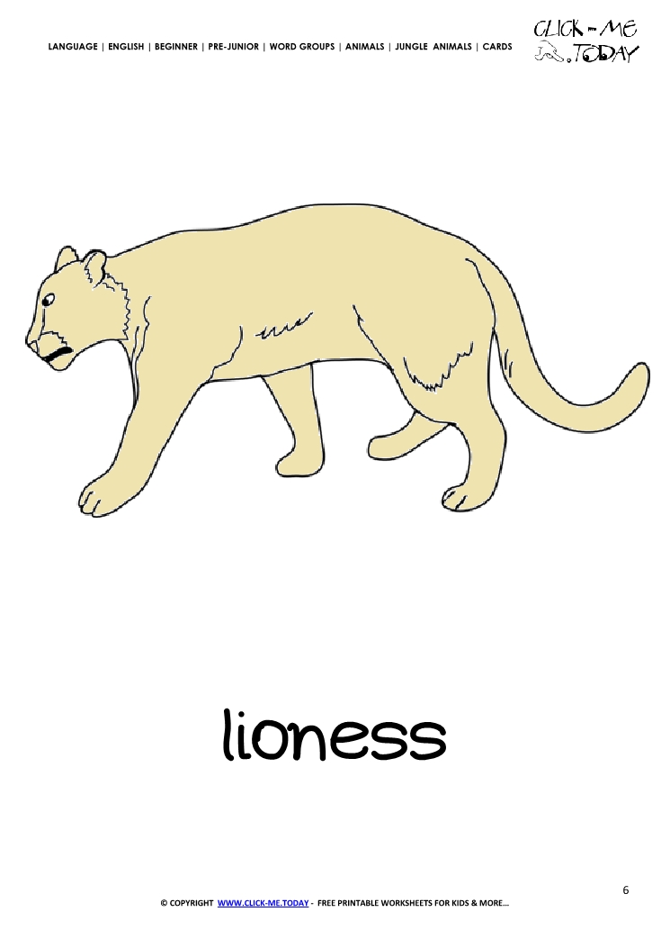 Jungle animal flashcard Lioness - Printable card of Lioness