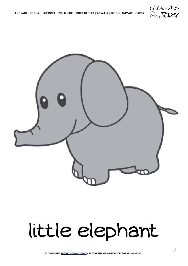 Jungle animal flashcard Little Elephant - Printable card of Elephant