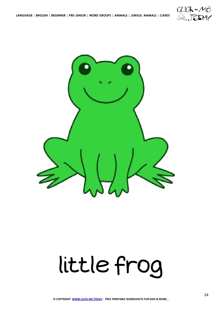 Jungle animal flashcard Little  Frog - Printable card of Frog