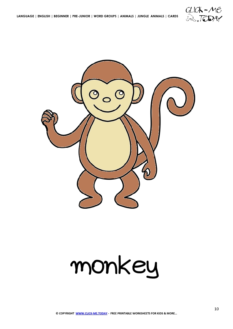 Jungle animal flashcard Monkey - Printable card of Monkey
