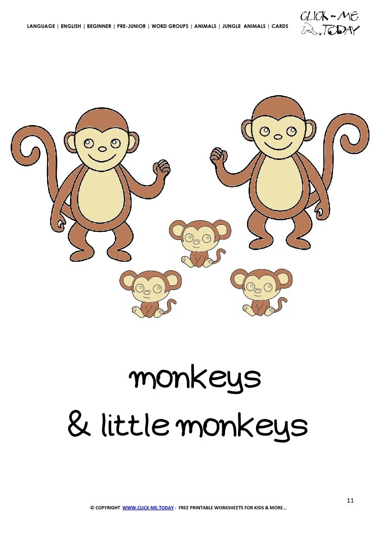 Jungle animal flashcard Monkeys - Printable card of Monkeys