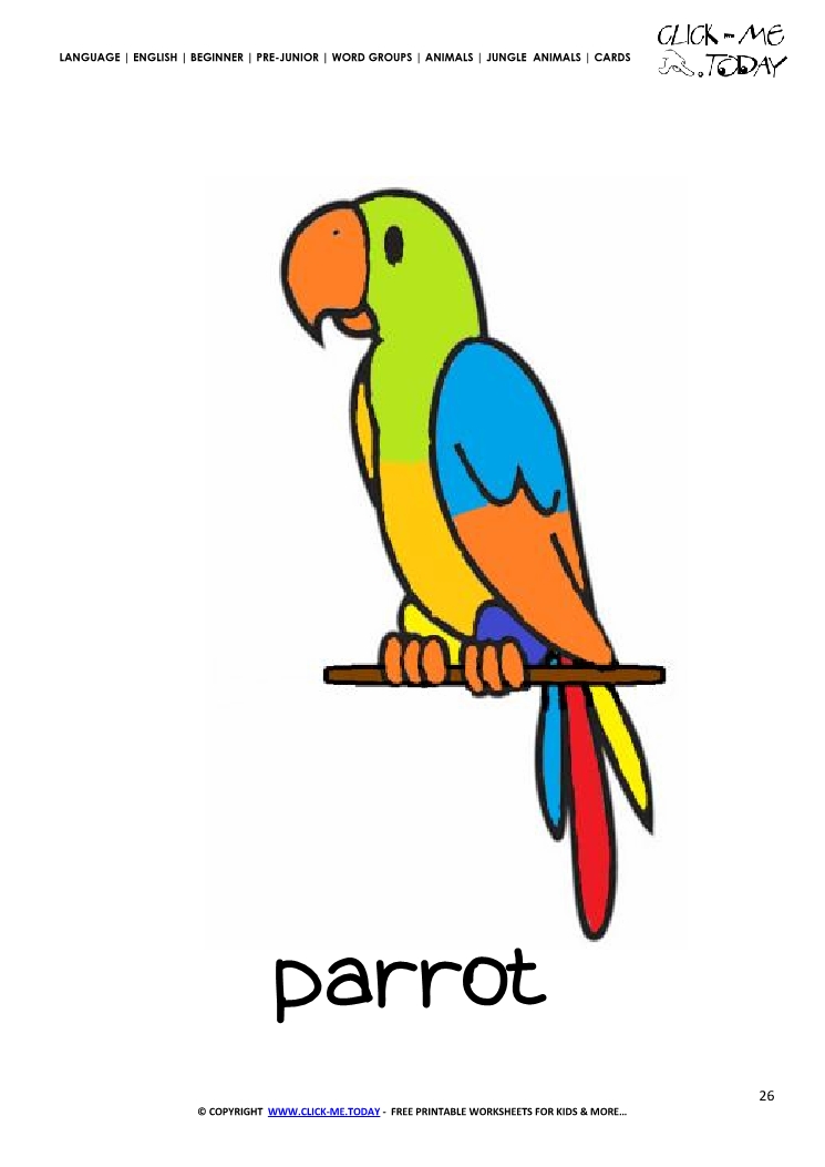 Jungle animal flashcard Parrot - Printable card of Parrot