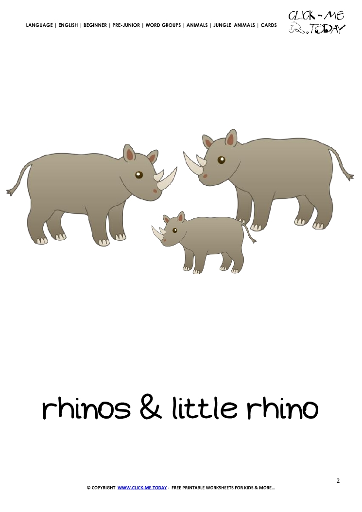 Jungle animal flashcard Rhinos - Printable card of Rhinos