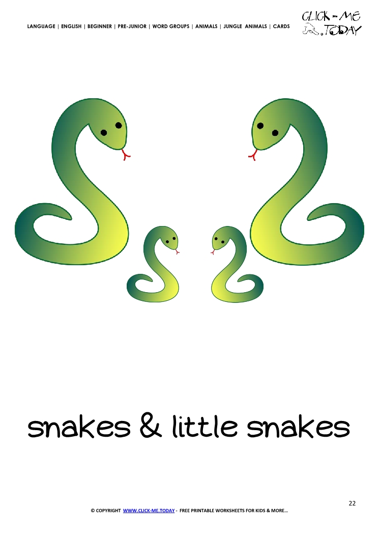 Jungle animal flashcard Snakes - Printable card of Snakes